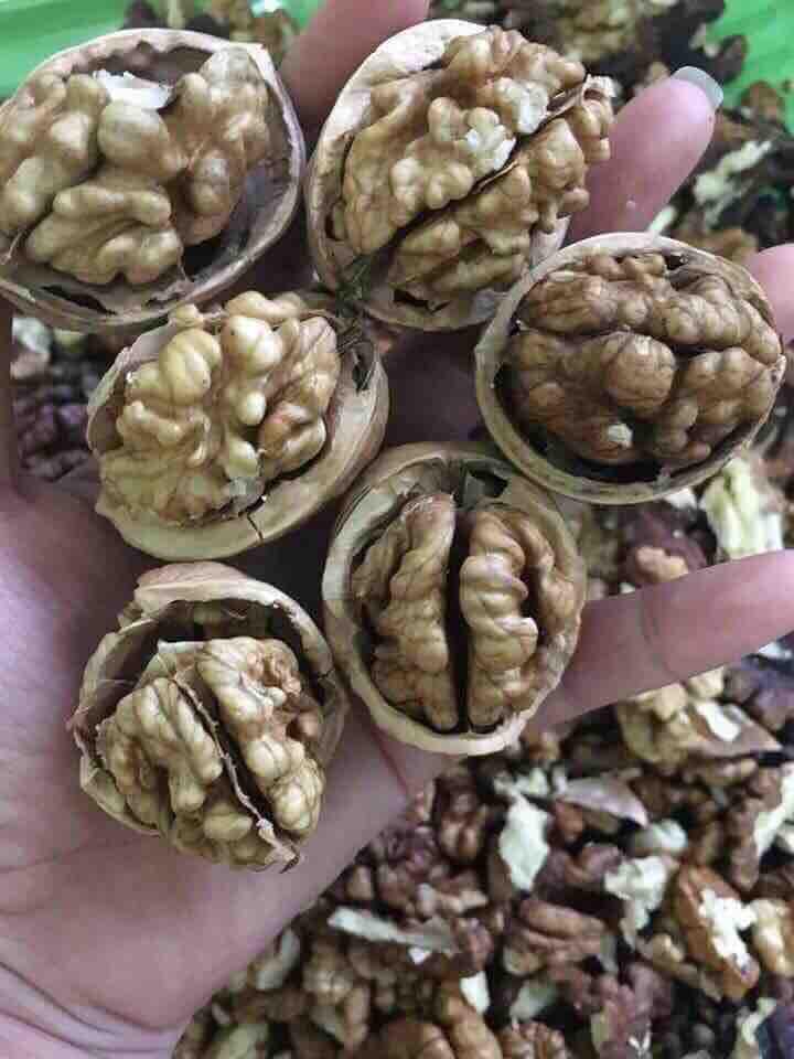 1 kg quả óc chó nếp