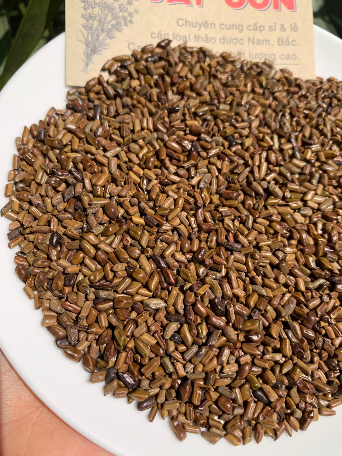 [HCM]Thảo Quyết Minh 100gram