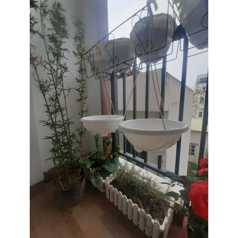 CHẬU CHẢO NHỰA(GỒM CẢ CHẬU VÀ DÂY)