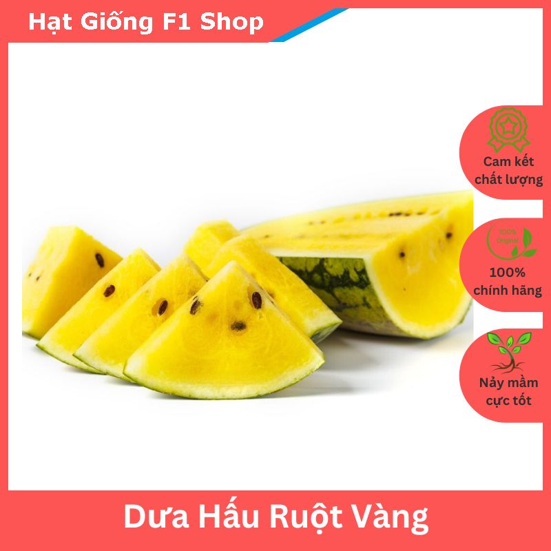 Hạt Giống Dưa Hấu Ruột Vàng (5H) Năng Suất Cao (202.F1)