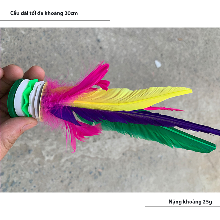 Cầu đá cầu kiểng nghệ thuật đa sắc CD3
