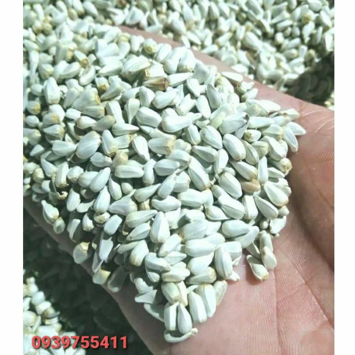 1kg hạt kham cho gà đá hướng dương trắng cho vẹt hạt kham cho vẹt hướng dương trắng cho gà đá