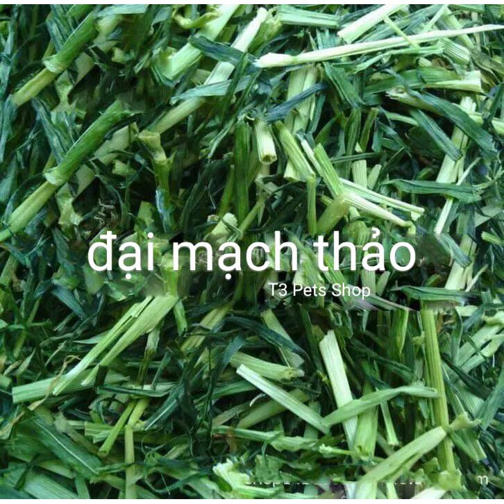 Cỏ khô đại mạch thảo dành cho thỏ, bọ, sóc bắc mỹ (cỏ cực kì xanh) - T3 PETS SHOP