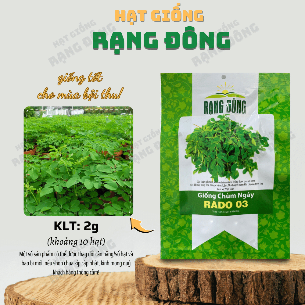 Hạt giống Chùm Ngây 03 (2g~10 hạt) nhiều công dụng, trồng quanh năm, tuổi thọ 5 năm - Hạt giống Rạng Đông