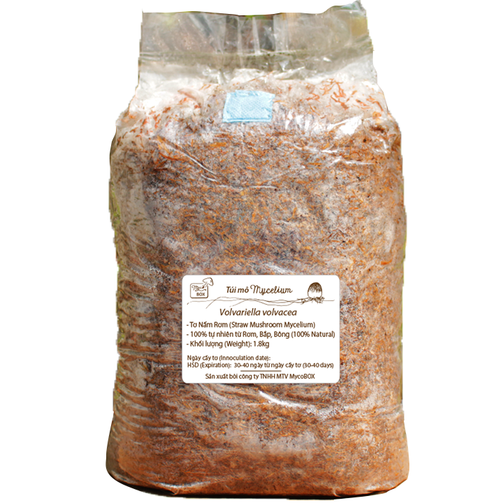MycoBOX Straw Mushroom Spawn 2kg