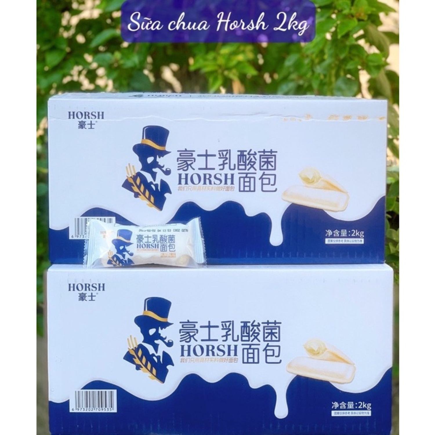 1 Thùng Bánh Sữa Chua 2kg