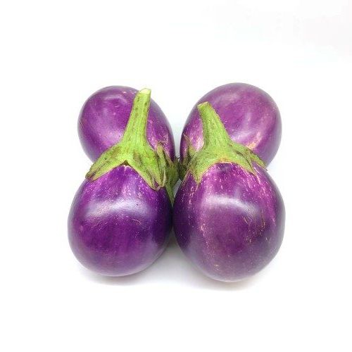 Hạt Giống Cà Pháo Tím