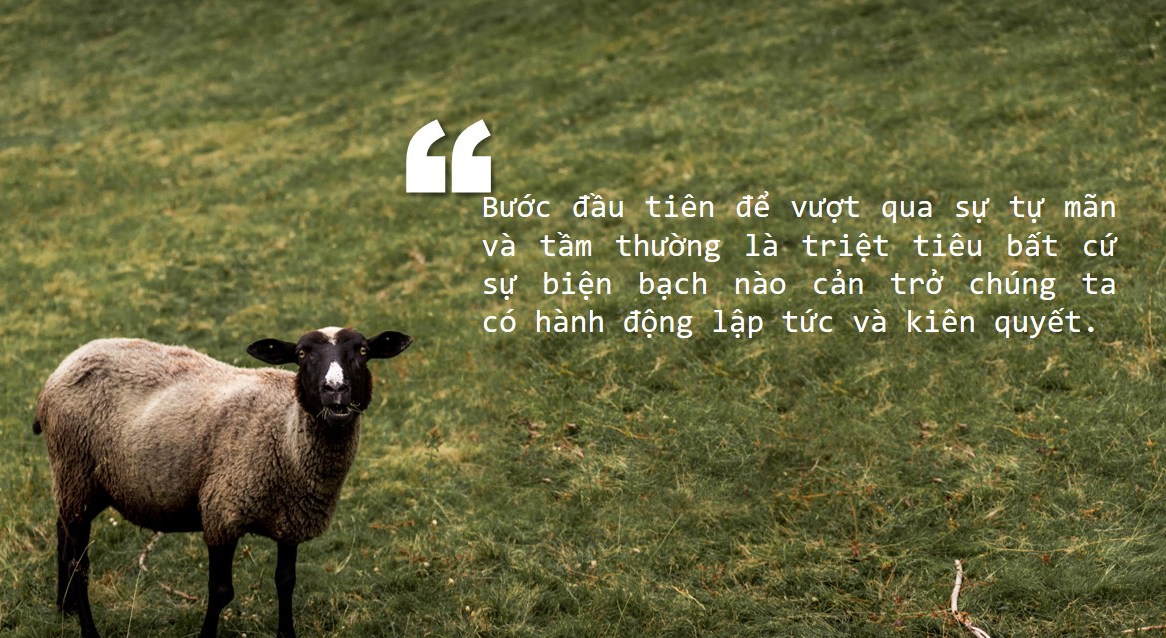 Ngày Xưa Có Một Con Bò - SH
