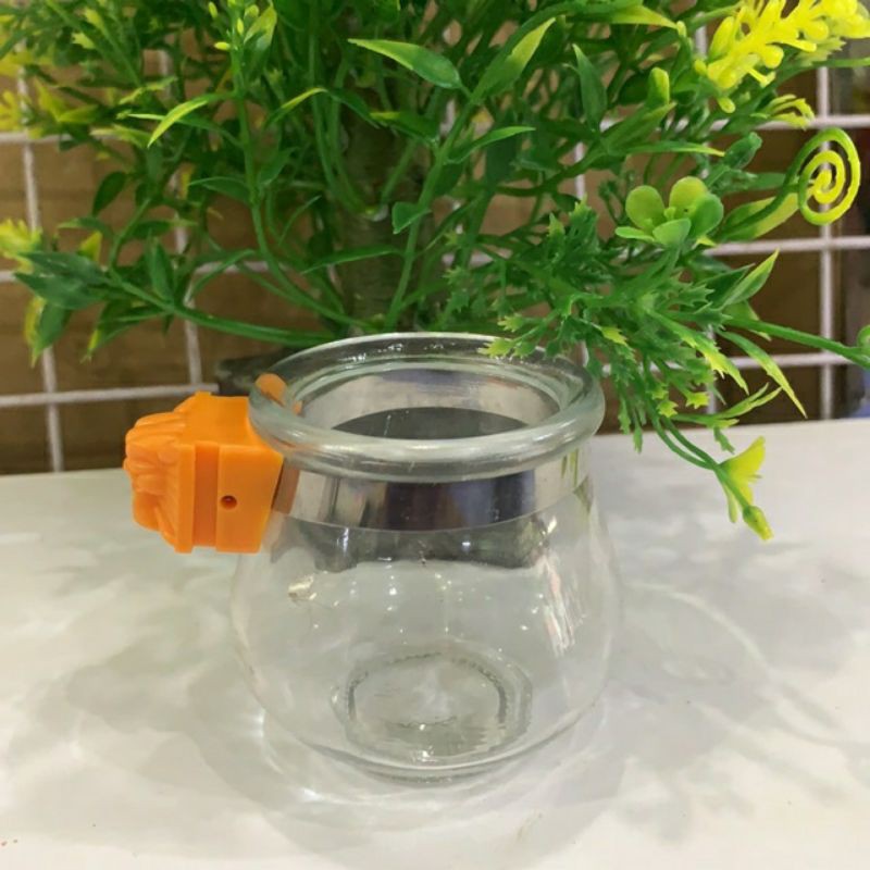 Cóng ăn uống tai hổ cho chim sáo máng ăn uống thủy tinh cho chim nhồng máng thủy tinh cho chim chích chèo