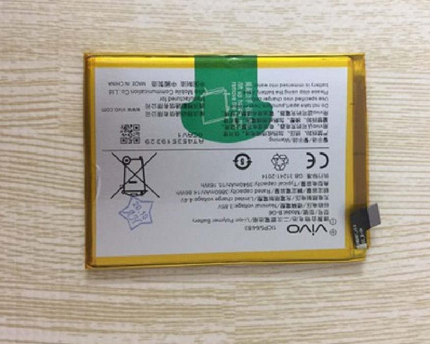 Pin vivo s1 b-g6