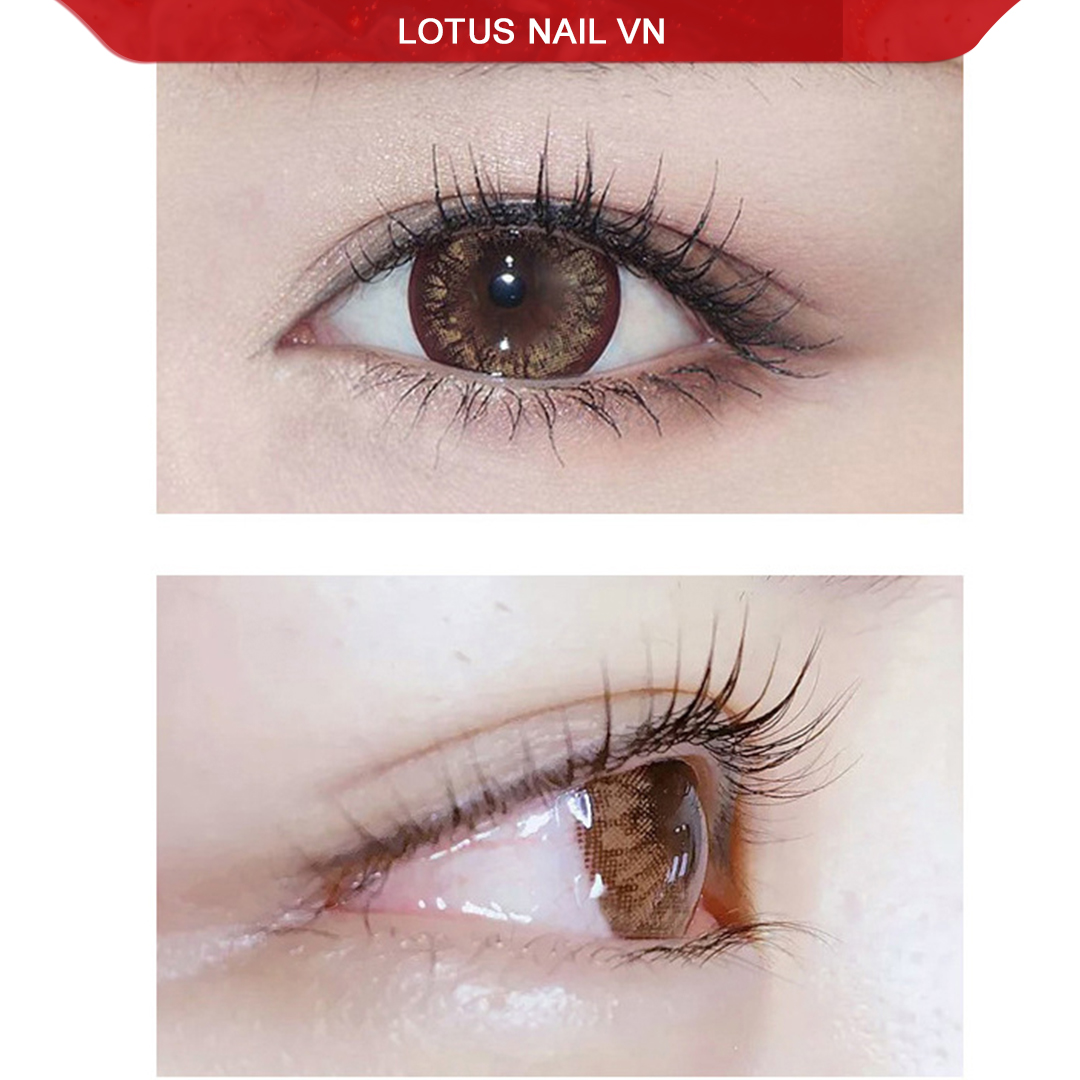 Set uốn mi Lashlift, set uốn mi colagen 3D Hàn Quốc