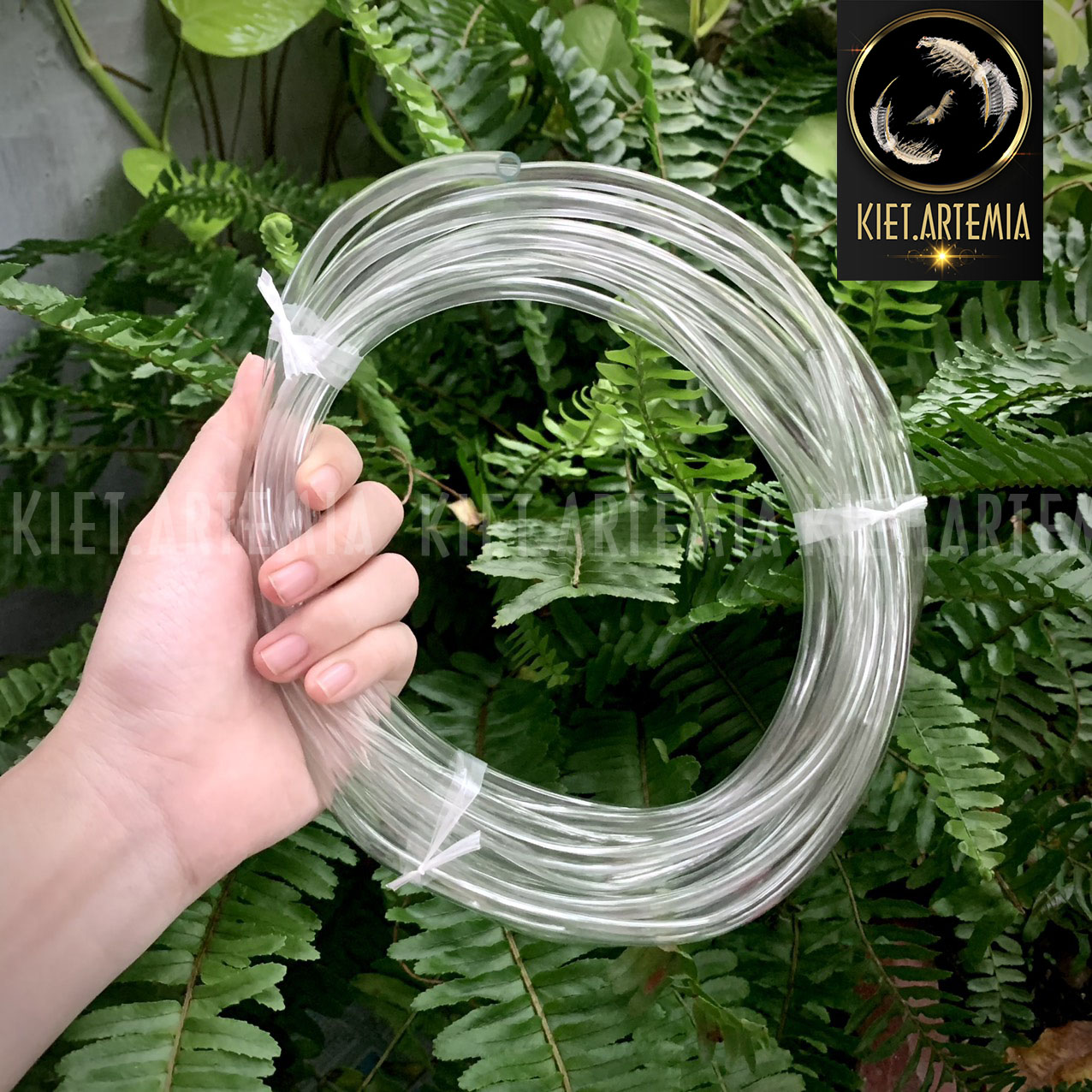 Dây Oxi, cuộn dây oxi, ống dây oxy