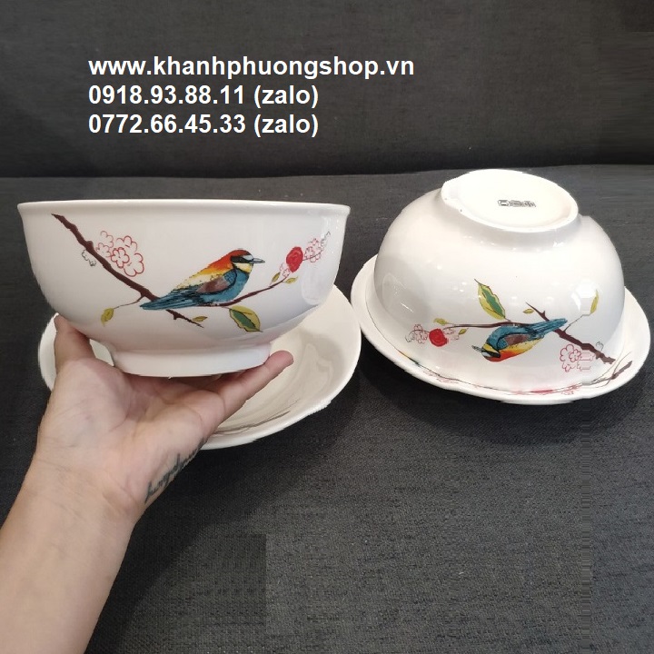 [HCM]tô sứ - tô sứ trắng