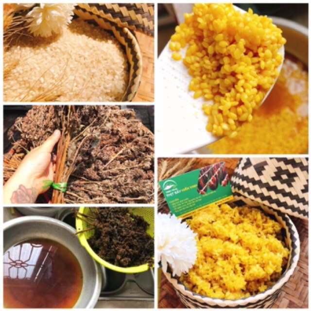 Hoa bó phón (nhuộm cơm vàng)