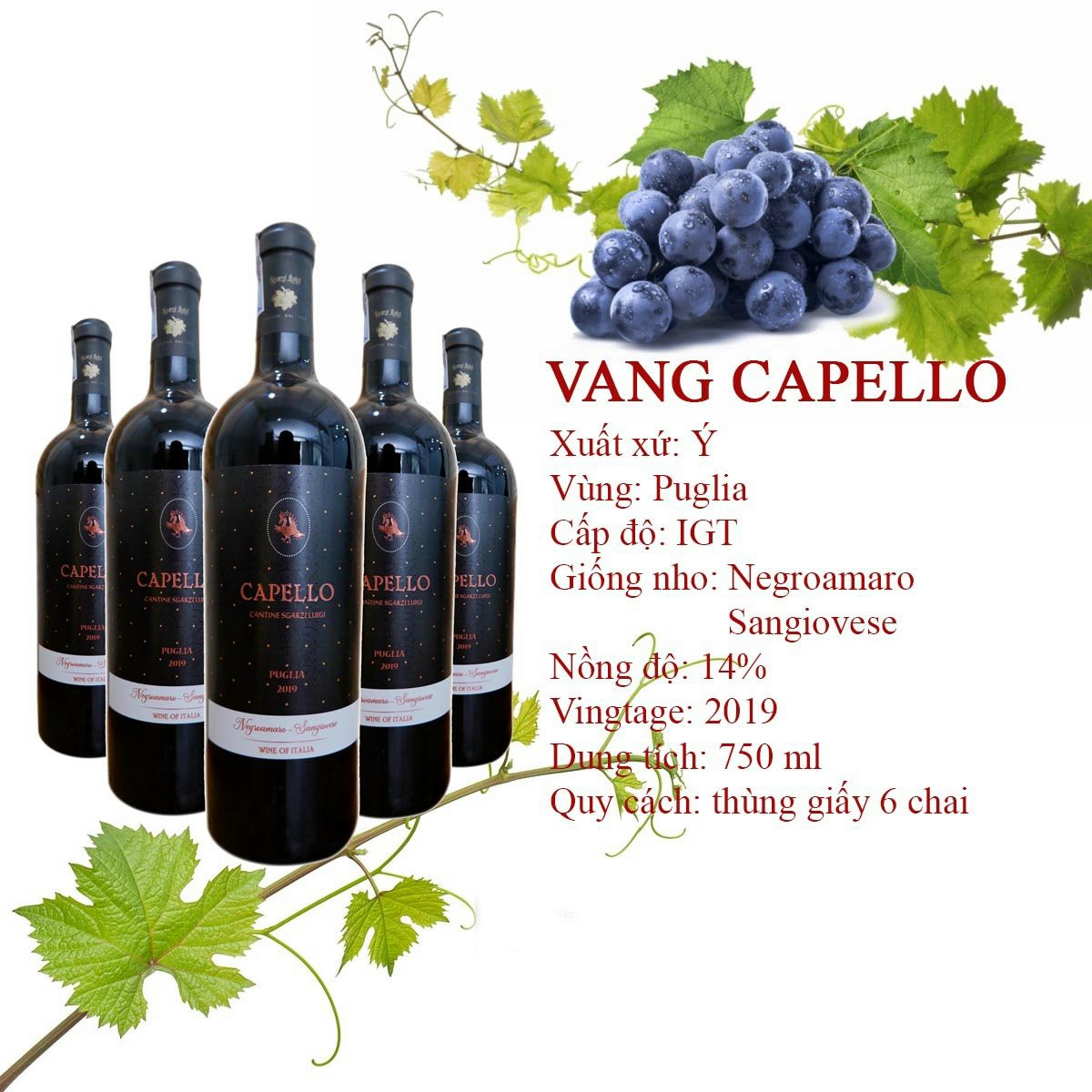 Vang Ý (Italia) Capello Rosso nhập khẩu chính hãng