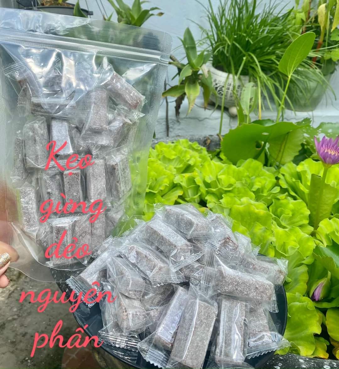(FREESHIP) 1KG KẸO GỪNG DẺO PHẤN BẾN TRE - CHỢ BẾN TRE