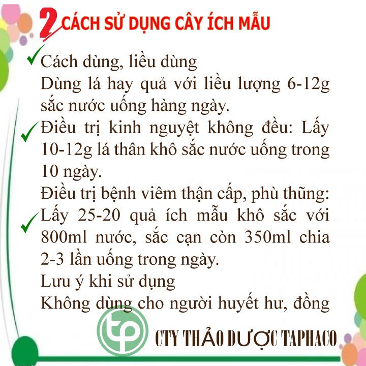 Cây ích mẫu khô 100g - Thảo Dược Tấn Phát