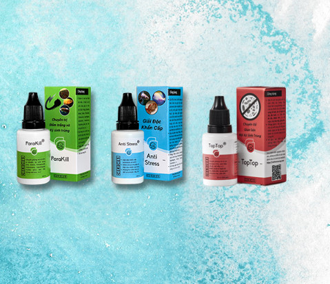 [COMBO] Anti Stress - Parakill - Toptop Dưỡng cá