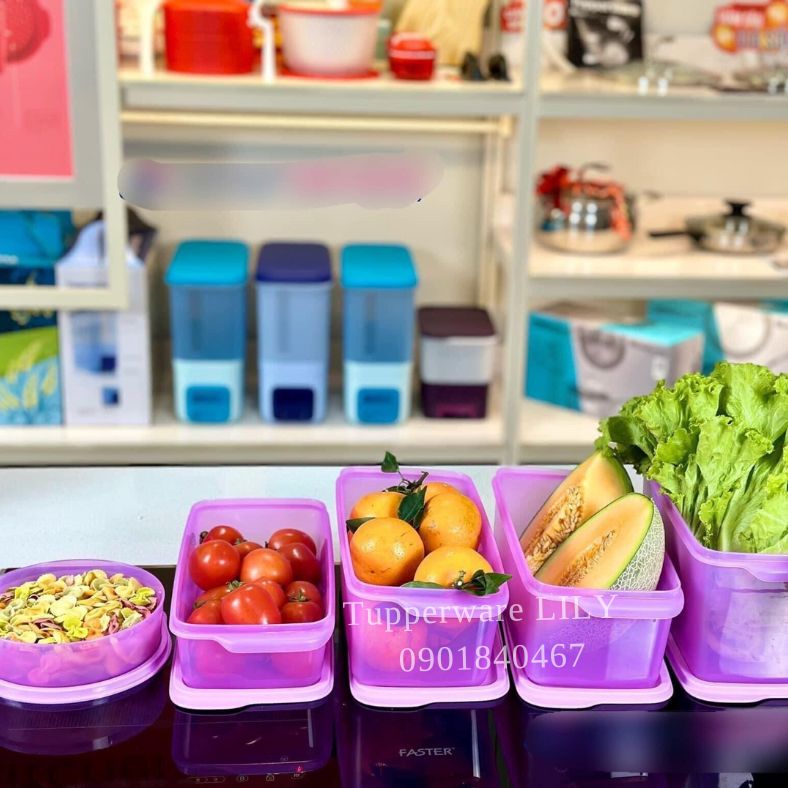 Bộ hộp trữ mát Freshia tím (5 hộp) Tupperware