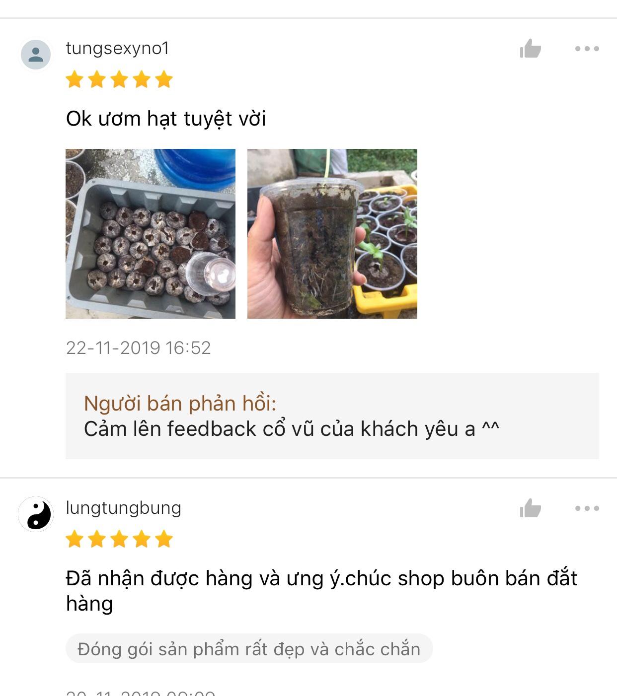 Combo 10 Viên Nén Xơ Dừa [HOT]