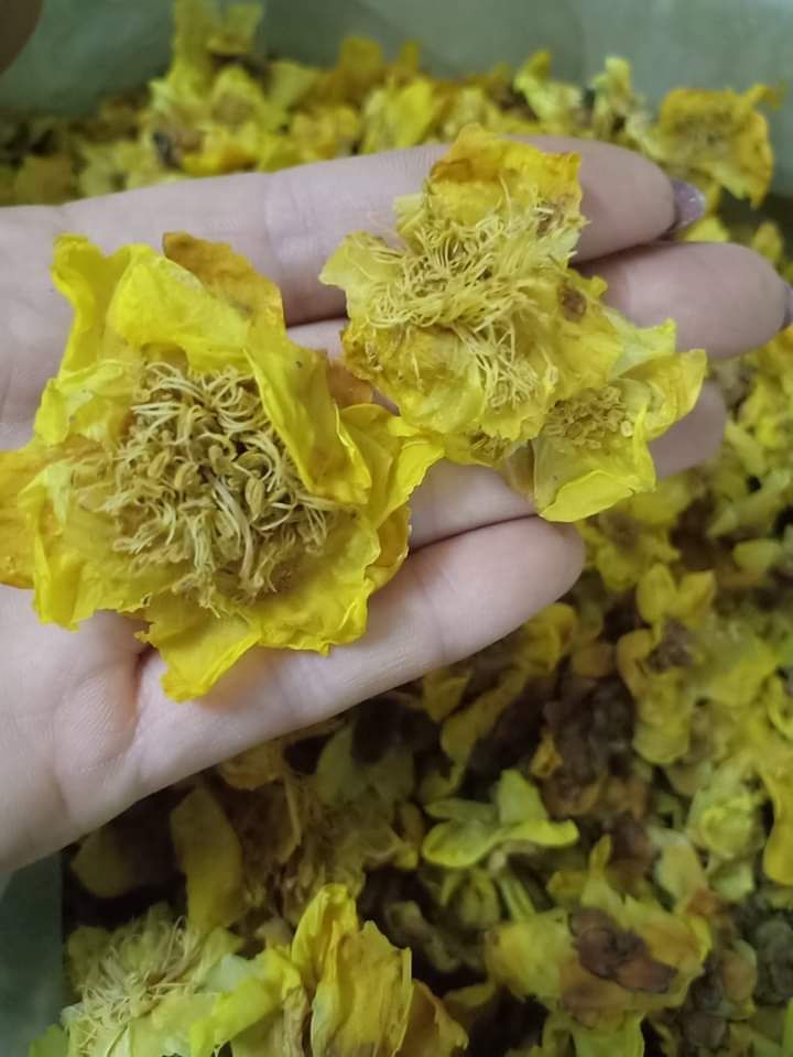 Nụ hoa tam thất khô 500g