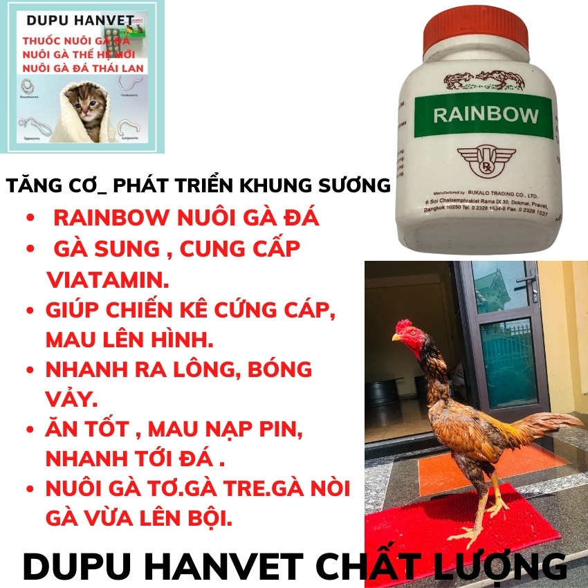 TĂNG CƠ RAINBOW nuôi gà đá lọ 100 viên