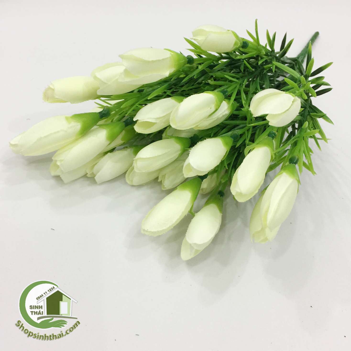 [HCM]Bụi Hoa Tulip Nhí Màu Trắng