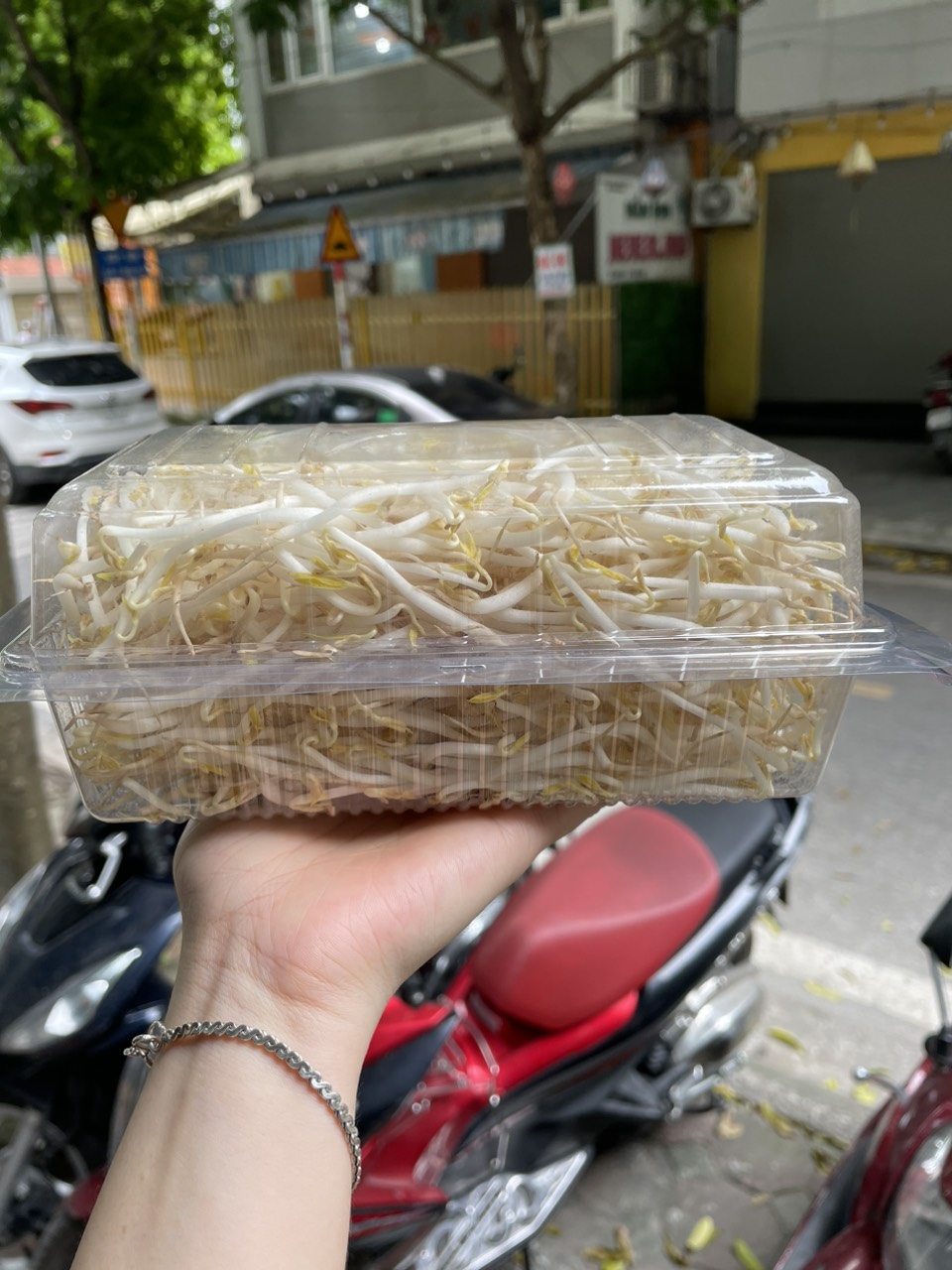 Giá đỗ hộp 300g [HN ship hỏa tốc]
