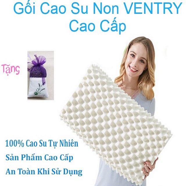 Gối cao su ventry thái lan cao cấp hàng chính gối cao su non ventry cao cấp nhập khẩu thái langối cao su non ventry thái lan chống vẹo cổ cột .gối cao su non ventry cao cấp nhập khẩu thái lan