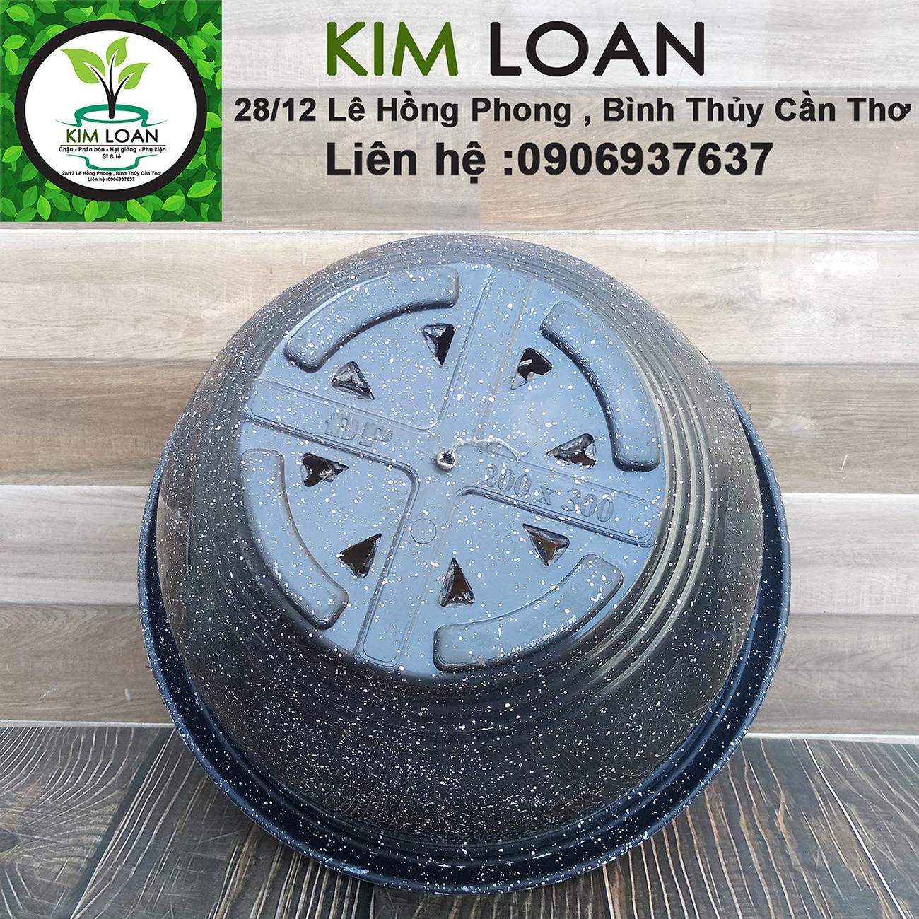 Combo 4 chậu tròn vân đá Cát Tường 35x20cm