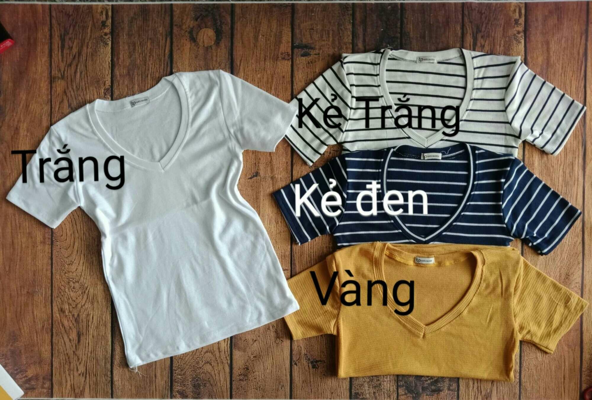 Áo Cổ Tim Tay Ngắn