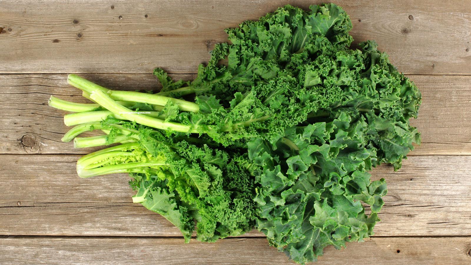Hạt giống cải xanh Kale