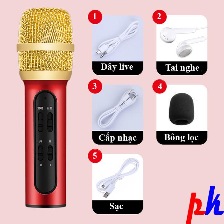 Micro karaoke live stream C11