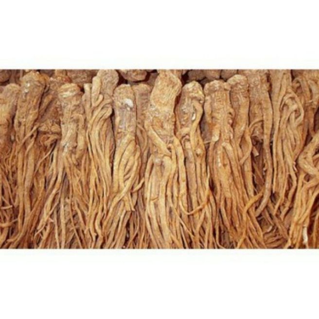 Sỉ toàn quốc 500g sâm đương quy sâm quy