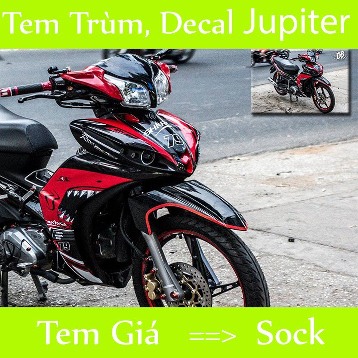 Tem trùm xe jupiter cá mập đỏ đen shark - Độ dán team trùm decal xe máy jupiter cá mập đỏ đen shark - Team trùm decal xe máy jupiter rẻ đẹp và chất