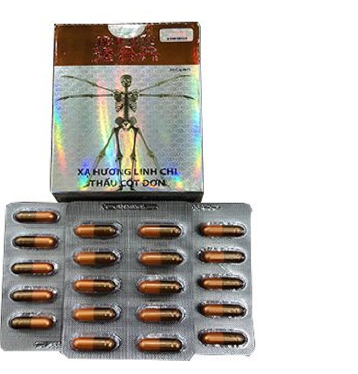 ( HCM ) 1 HỘP XẠ HƯƠNG LINH CHI THẤU CỐT ĐƠN – hỗ trợ xương khớp