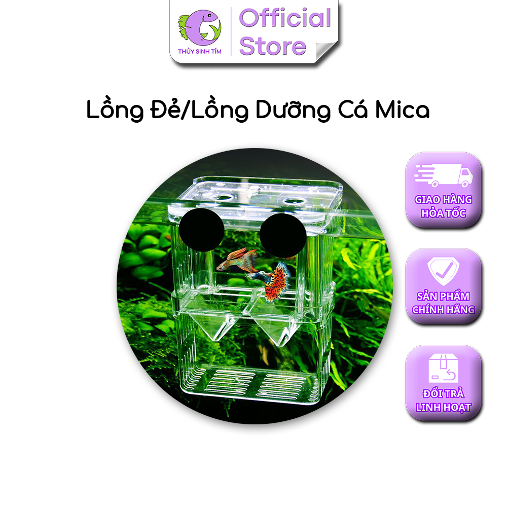 Lồng Đẻ Mica Nhiều Size Dành Cho Cá Cảnh