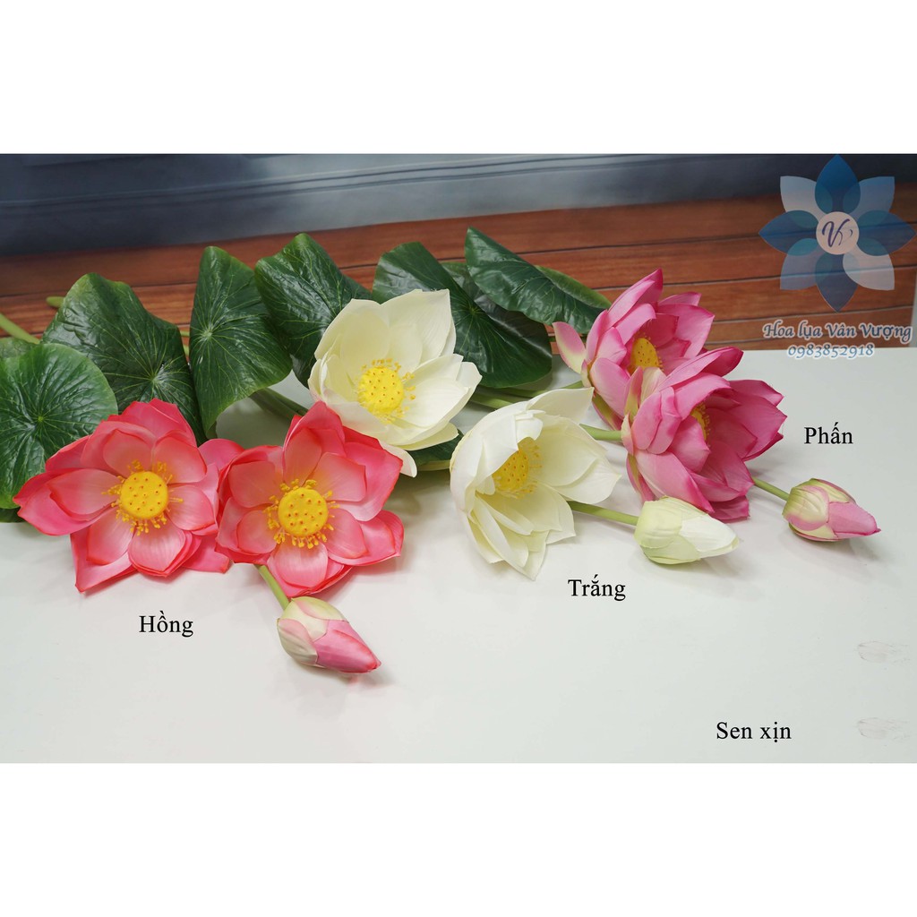 Hoa Lụa 🌺FREESHIP🌺 Hoa Sen Giả Trang Trí