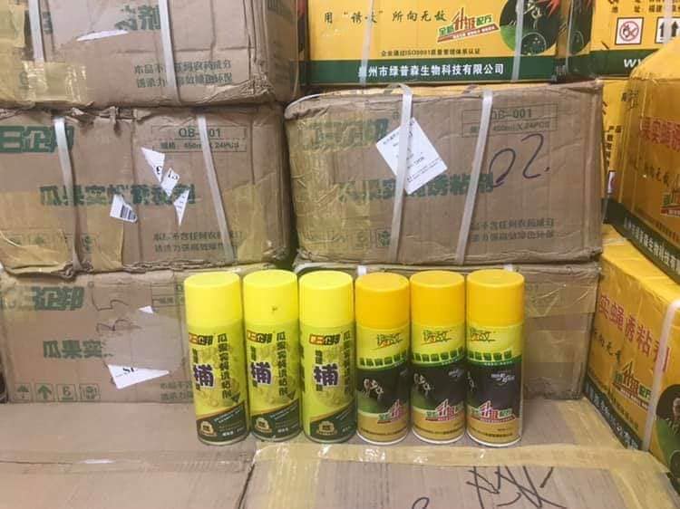 CHAI KEO XỊT DÍNH RUỒI VÀNG HIỆU QUẢ