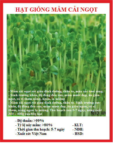 Hạt giống mầm cải ngọt - Gói 20gram