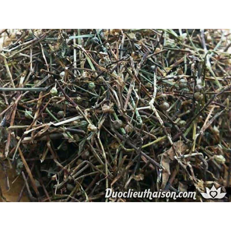 [Shop Mới] 1kg Bạch Hoa Xà Thiệt Thảo - Hàng chuẩn (khô, sạch, nguyên chất)