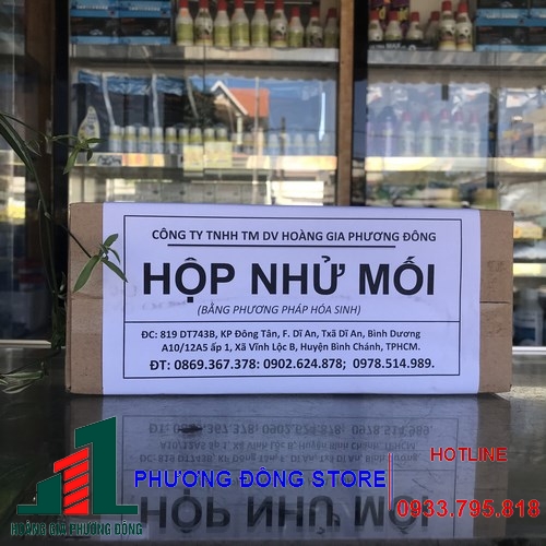 Hộp nhử mối - diệt mối tận gốc