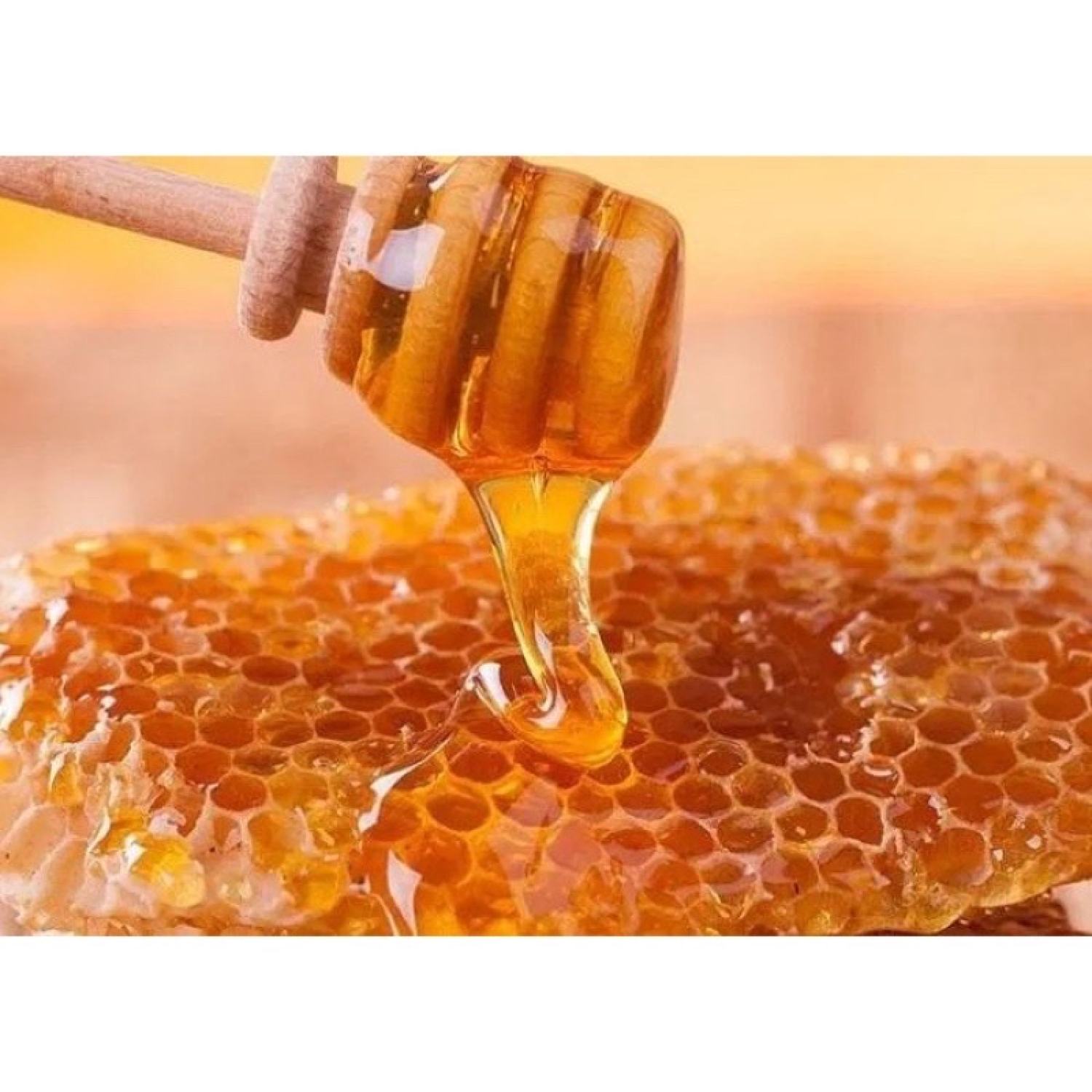 Mật Ong Vina Honey Chai 750ml