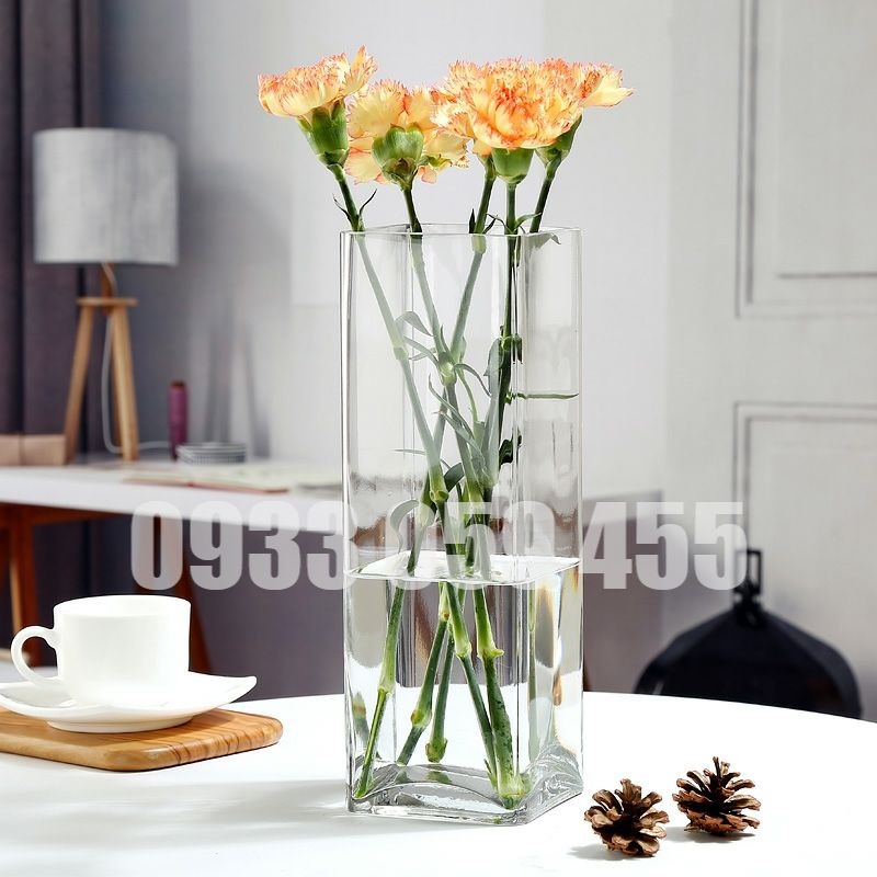 Bình Bông Thủy Tinh Trang Trí, Bình Cắm Hoa Thủy Tinh Trụ tròn, Lọ Hoa Hình Trụ trơn, bể cá mini, hồ cá, ống trụ tròn thủy tinh