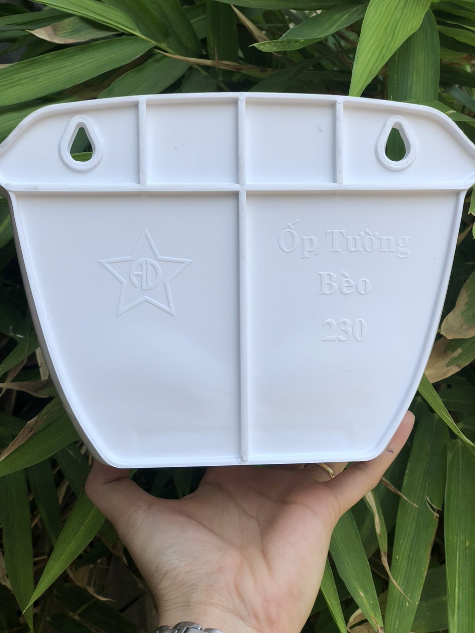 CHẬU ỐP TƯỜNG BÈO
