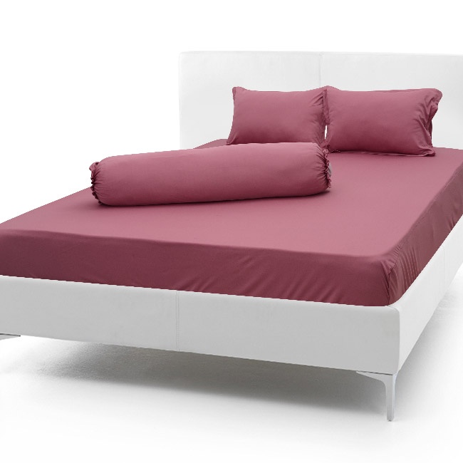 [HCM]Bộ Drap gối  Thun Hàn Quốc mát lạnh { 4 món } khách nhớ chọn   size
