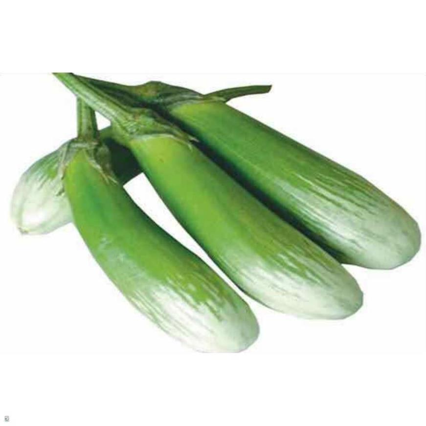 Hạt giống Cà Phổi Sọc lem F1 - Gói 1 gram