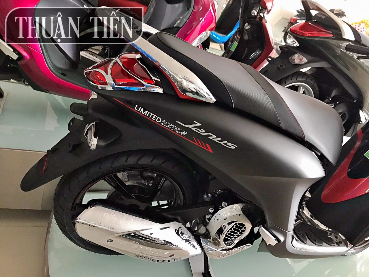 ỐP CẢNG JANUS NHỰA XI CAO CẤP