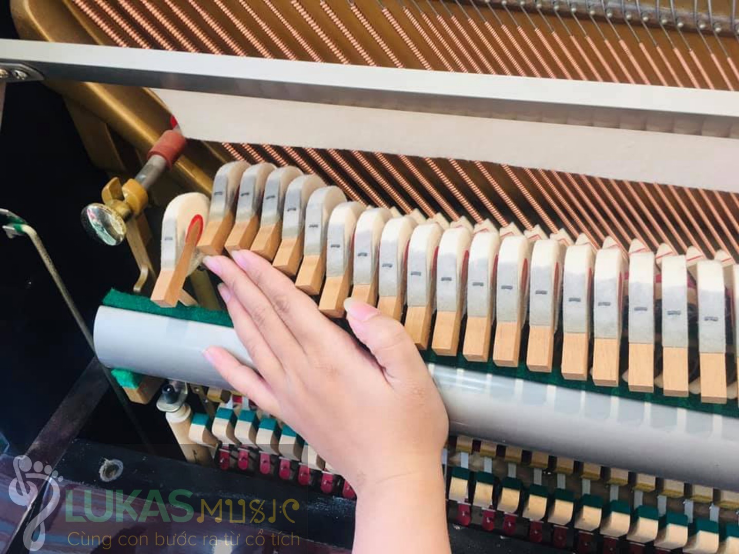 [HCM]ĐÀN PIANO STEINBURG - MP-119FCD