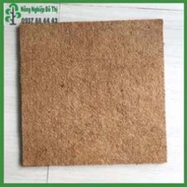 Thảm xơ dừa 50x50x1.2cm